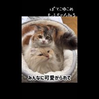 みんなに可愛がられて