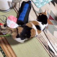 水筒を見つめて
