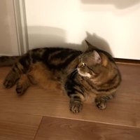 横を向くメルくん