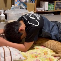 人の体の下で横になる子猫