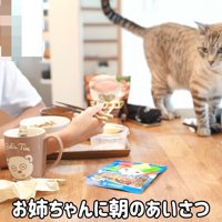 テロップ「お姉ちゃんに朝の～」