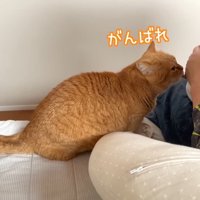 がんばれ