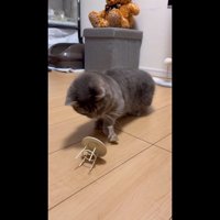 倒れたテーブル