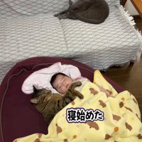 赤ちゃんと一緒の布団で寝る猫