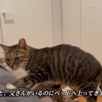 テロップ「なんと、父さんがいるのに～」