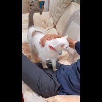 パパの方を向いて