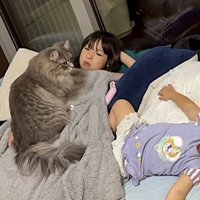 姉の上に乗る猫