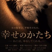 猫の足元
