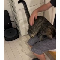 猫と椅子に座る女性
