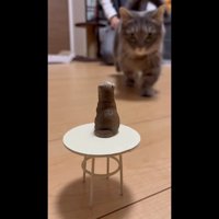 向かってくる姿