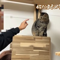 何だよその手は