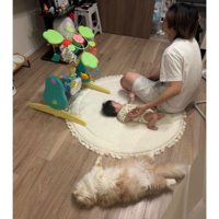 赤ちゃんと男性と猫