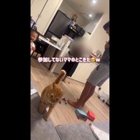 ママのとこきた
