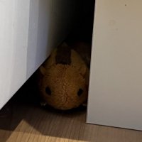 おもちゃのアップ