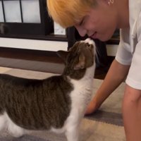 男性の口元に鼻を近づける猫