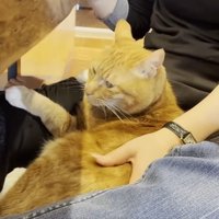 そっぽを向いた姿