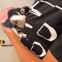 さらに服を引っ張って