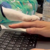 飼い主の手をさわる猫