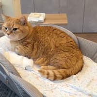 ひとりで寛ぐ姿