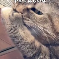「その手の～」と書かれた写真1