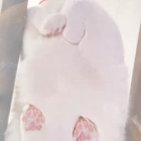 キャットウォークに座る猫