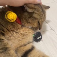 なでなで