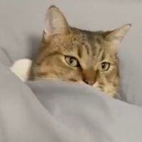 口元まで包まれて