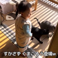 テロップ「すかさず～」