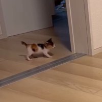 周囲を見回しながら歩くつむぎちゃん