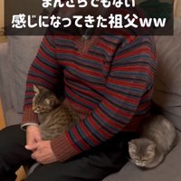 子猫を腕に抱くおじいちゃん