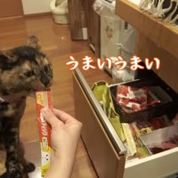 おやつ