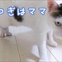 ママにも甘えるチロくん
