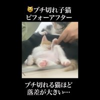 落差が大きい