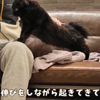 テロップ「伸びをしながら～」