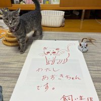 猫の絵が描かれた紙と、紙の隣に立つ子猫