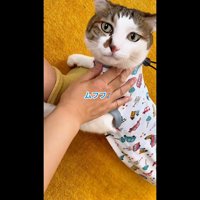 ムフフ♪
