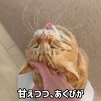 あくび