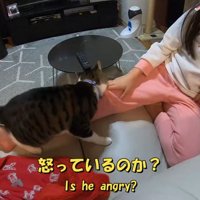 怒っているのか？