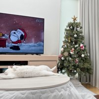 ツリー、こたつの上で眠る猫