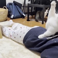 右前足を上げて