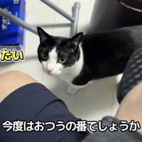 「乗りたい」のテロップ写真