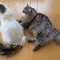 乗り気じゃない