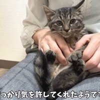 すっかり気を許して