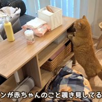 2足立ち