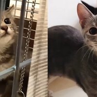 保護当時と成長後