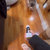 バリカンを追いかける猫