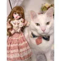猫とドール人形