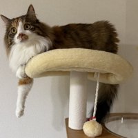 タワーの上のニコちゃん