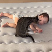 お昼寝中の赤ちゃんと猫