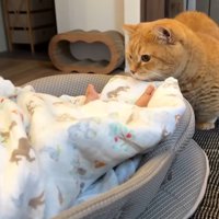 赤ちゃんの足元に